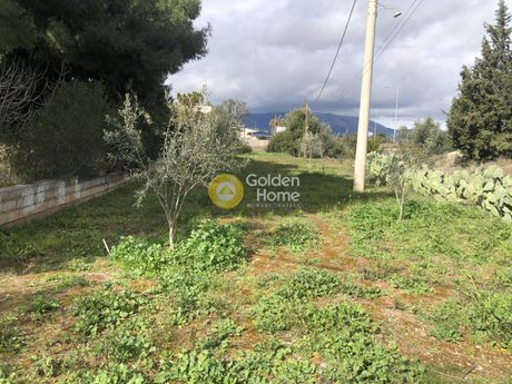 Αγροτεμάχια 350τ.μ. για ενοικίαση-Κορωπί » Κέντρο