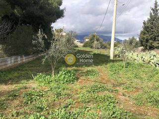 Αγροτεμάχια 350 τ.μ. για ενοικίαση
