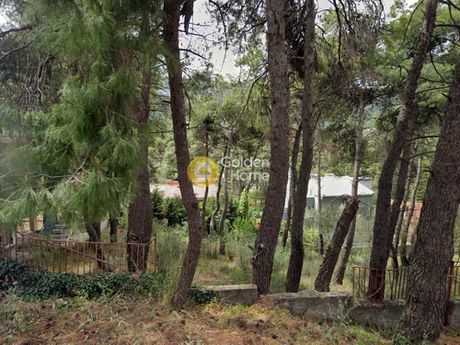 Οικόπεδο 800τ.μ. για πώληση-Διόνυσος » Κέντρο