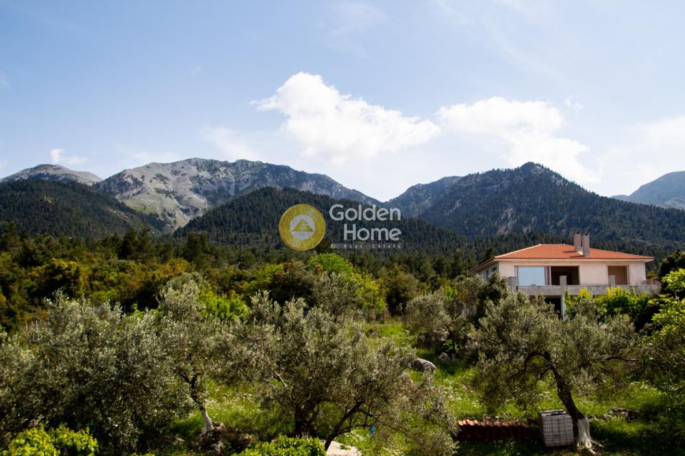 Οικόπεδο 2.566 τ.μ. προς πώληση, Βλαχιά