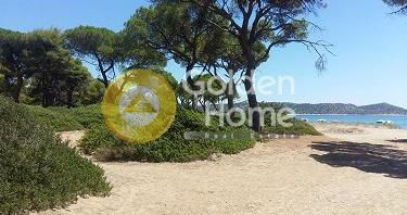 Αγροτεμάχια 12.200τ.μ. για πώληση-Μαραθώνας » Κέντρο