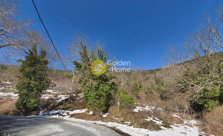 Οικόπεδο 9.204τ.μ. για πώληση-Αγριά » Κέντρο