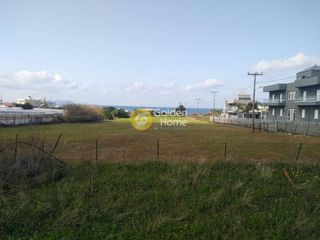 Οικόπεδο 9.055 τ.μ. για πώληση