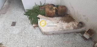 Κατάστημα 347 τ.μ. προς πώληση, Κέντρο Πειραιά-thumb-4