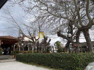 Οικόπεδο 1.116 τ.μ. για πώληση