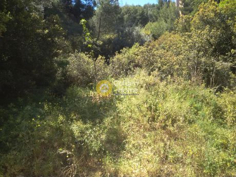 Land plot 626sqm for sale-Drosia