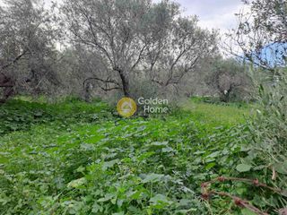 Οικόπεδο 2.476 τ.μ. για πώληση