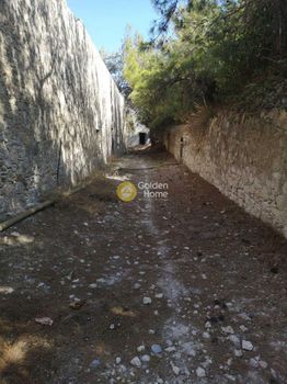 Επιχειρηματικό κτίριο 720τ.μ. για πώληση-Ιεράπετρα » Παχεία άμμος