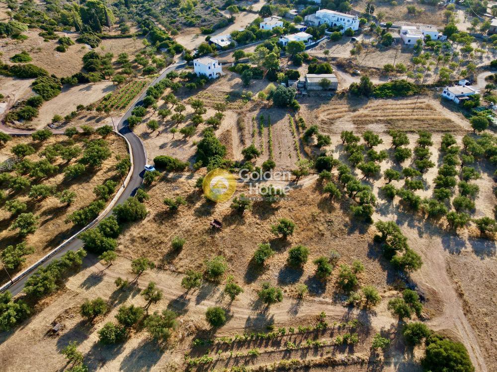 Οικόπεδο 4.200 τ.μ. προς πώληση, Βρουχιάνικα