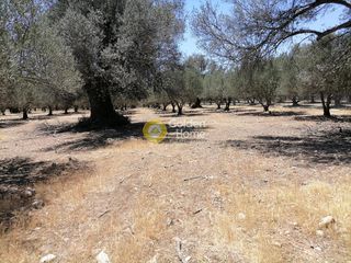 Οικόπεδο 5.000 τ.μ. προς πώληση, Μονόχωρο-thumb-4