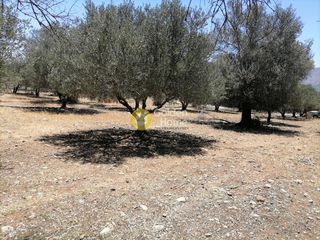 Οικόπεδο 5.000 τ.μ. προς πώληση, Μονόχωρο-thumb-15