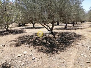 Οικόπεδο 5.000 τ.μ. προς πώληση, Μονόχωρο-thumb-11