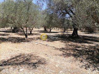 Οικόπεδο 5.000 τ.μ. προς πώληση, Μονόχωρο-thumb-17