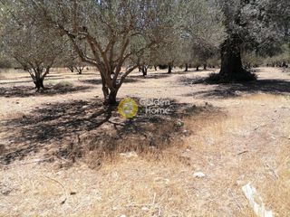 Οικόπεδο 5.000 τ.μ. προς πώληση, Μονόχωρο-thumb-5