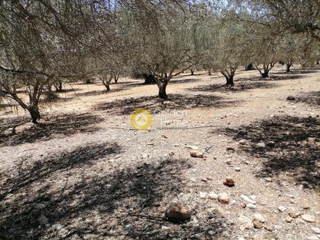 Οικόπεδο 5.000τ.μ. για πώληση-Μοίρες » Μονόχωρο