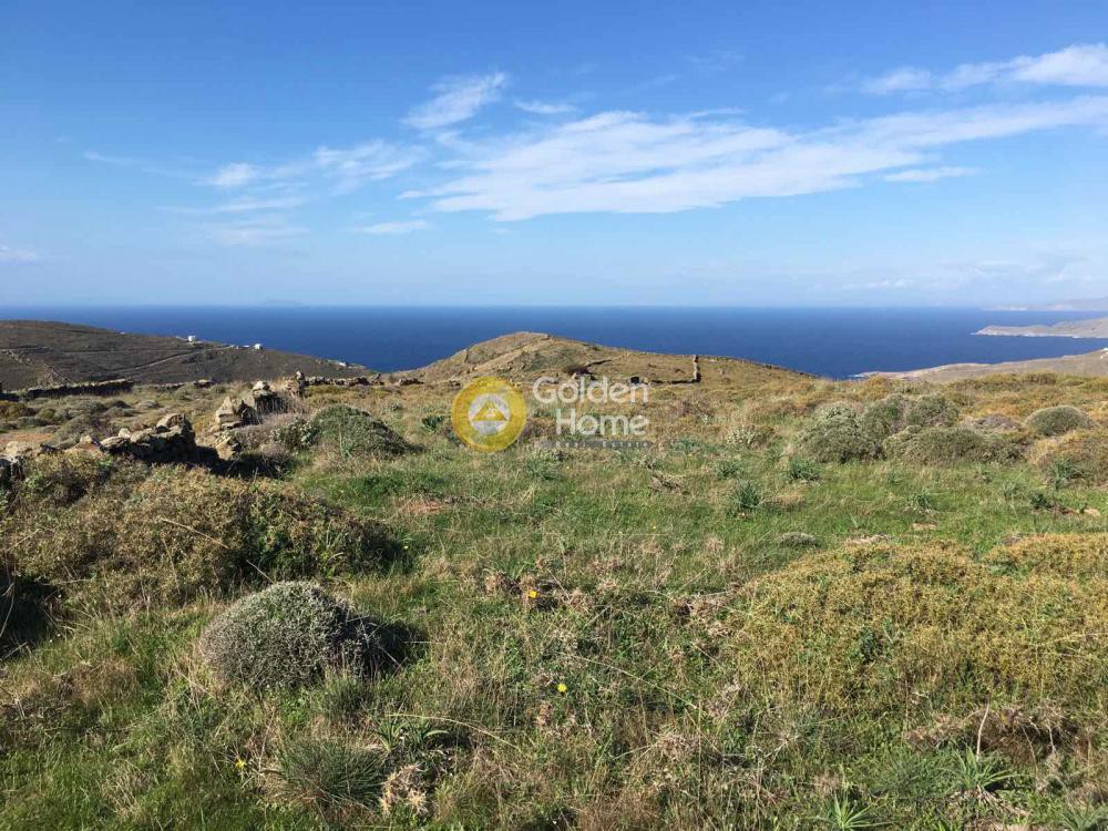 Αγροτεμάχια 23.000 τ.μ. προς πώληση, Φλαμπούρια