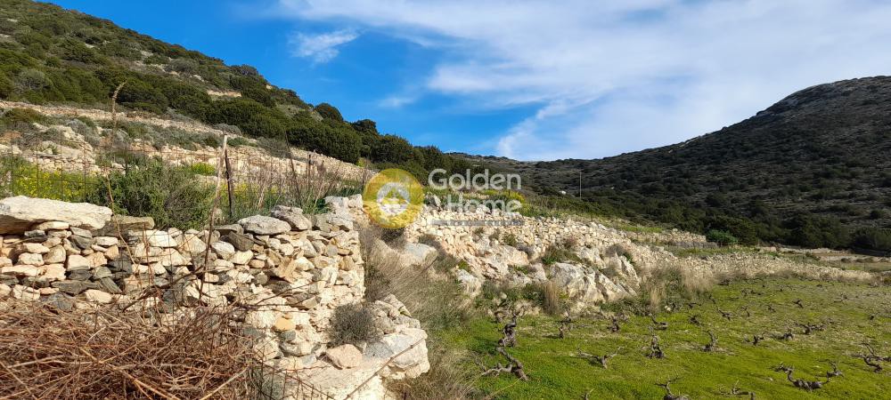 Οικόπεδο 10.500 τ.μ. προς πώληση, Αγκαιριά