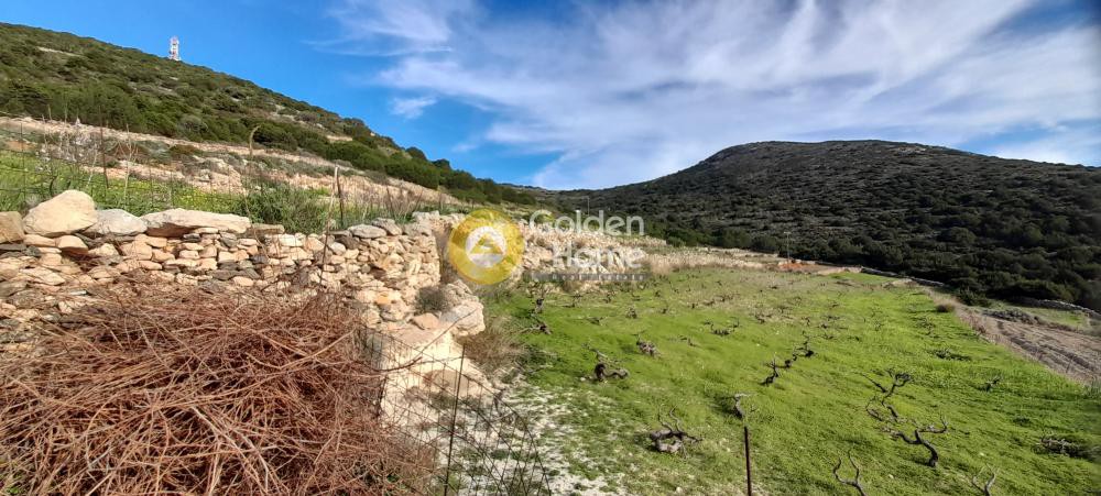 Οικόπεδο 10.500 τ.μ. προς πώληση, Αγκαιριά