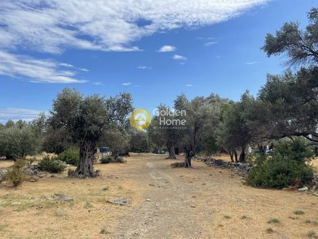 Οικόπεδο 1.760τ.μ. για πώληση-Σάμος » Μαραθόκαμπος