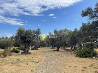 Land plot 1.760 sqm for sale