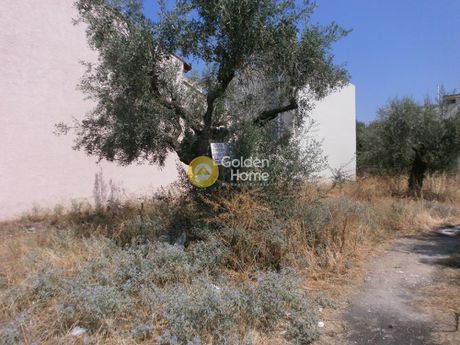 Οικόπεδο 350τ.μ. για πώληση-Μέγαρα » Κέντρο
