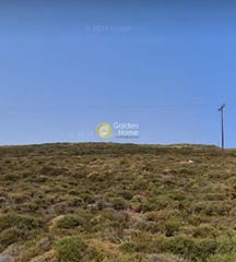 Αγροτεμάχια 5.205 τ.μ. για πώληση