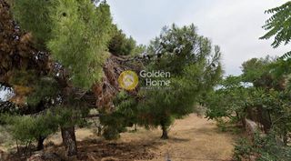 Land plot 700 sqm for sale