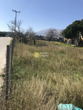 Parcel 980 sqm for sale, Athens - East, Pallini