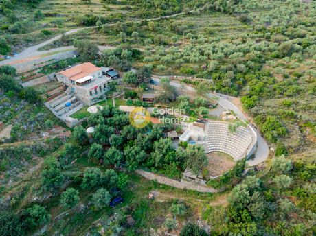 Επιχειρηματικό κτίριο 700τ.μ. για πώληση-Αβία » Μεγάλη μαντίνεια