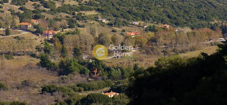 Parcel 4.800sqm for sale-Arachova » Zemeno