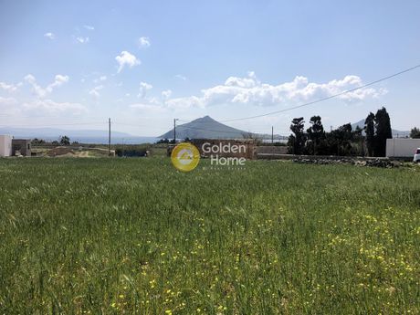 Parcel 8.050sqm for sale-Paros » Isterni