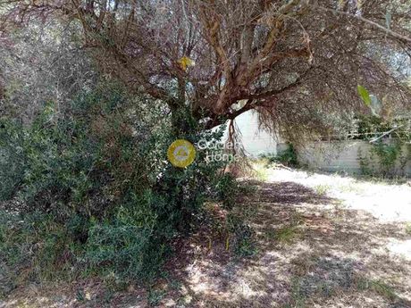 Land plot 1.175sqm for sale-Heraclion Cretes » Kipoupoli