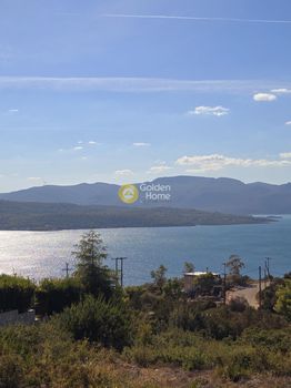 Οικόπεδο 1.013τ.μ. για πώληση-Μαλεσίνα » Θεολόγος