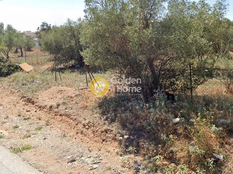 Οικόπεδο 650τ.μ. για πώληση-Αχαρνές » Αγριλέζα
