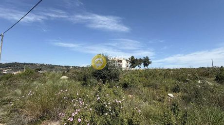 Οικόπεδο 1.000τ.μ. για πώληση-Μαλεσίνα » Θεολόγος