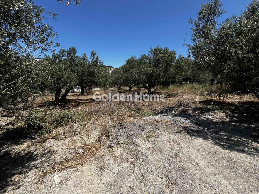 Οικόπεδο 462 τ.μ. προς πώληση, Φιλοθέη Ηρακλείου