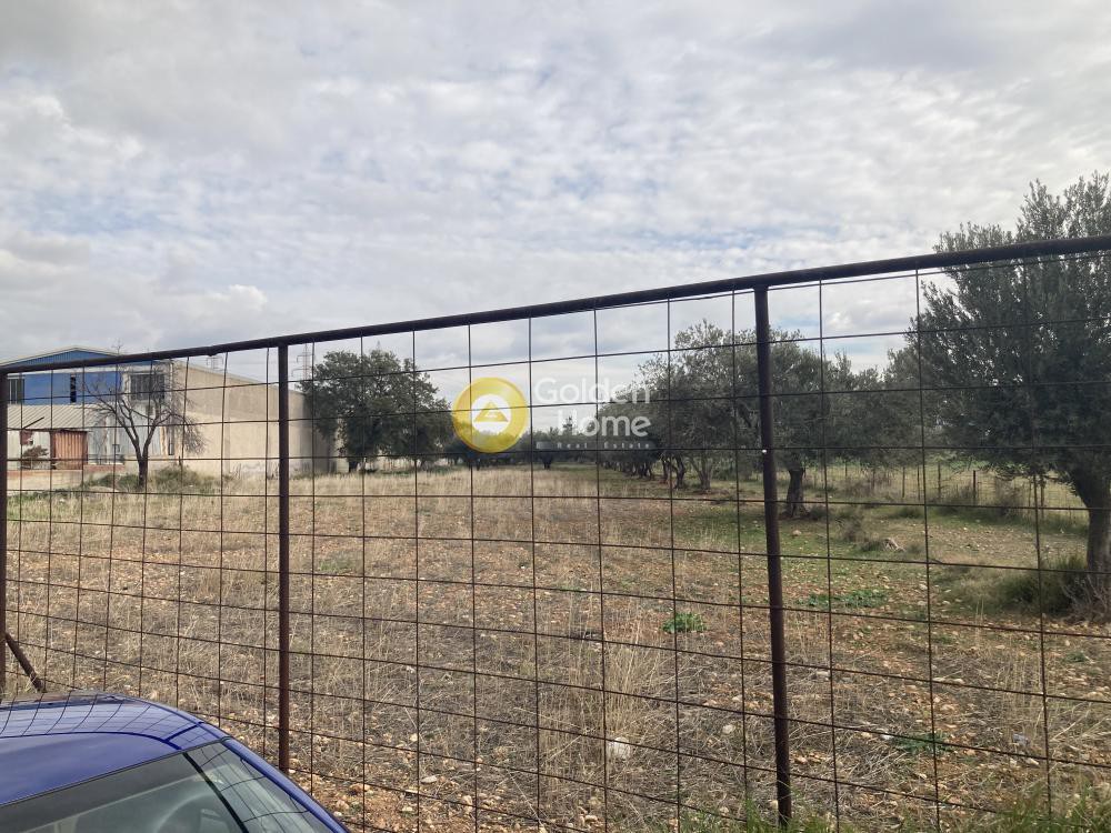 Αγροτεμάχια 6.250 τ.μ. προς πώληση, Σκροπονέρια Ανθηδώνος