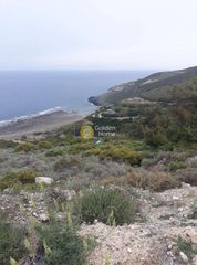 Αγροτεμάχια 4.000 τ.μ. για πώληση