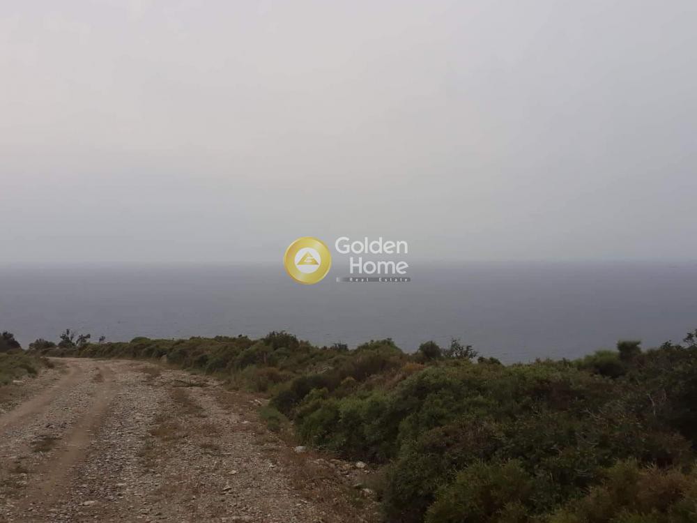Αγροτεμάχια 4.000 τ.μ. προς πώληση, Μουρτερή