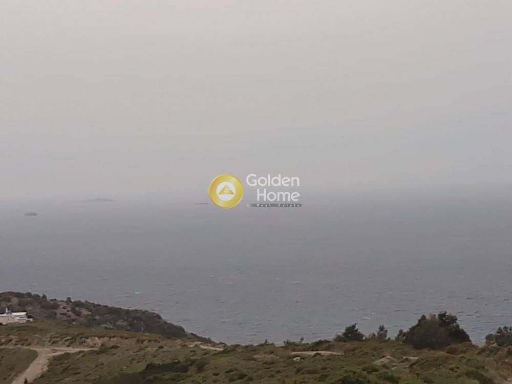 Αγροτεμάχια 4.000 τ.μ. προς πώληση, Μουρτερή