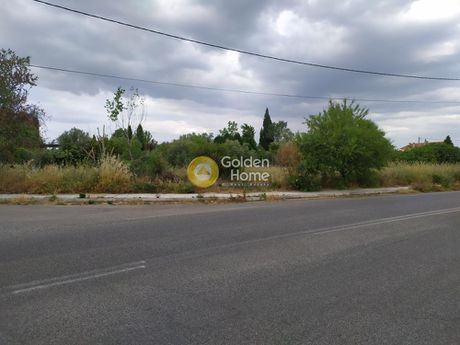 Οικόπεδο 2.600τ.μ. για πώληση-Ωρωπός » Σταθμός αφιδνών