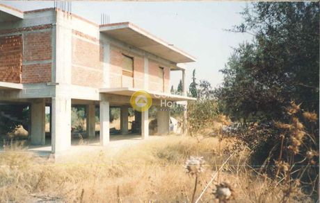 Μονοκατοικία 150τ.μ. για πώληση-Ωρωπός » Κάμπος ωρωπού