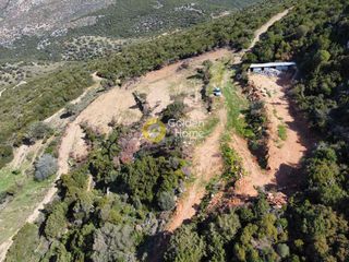 Οικόπεδο 10.000 τ.μ. προς πώληση, Νιμπορειό-thumb-2
