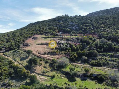 Οικόπεδο 10.000τ.μ. για πώληση-Στύρα » Νιμπορειό