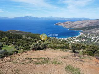 Οικόπεδο 10.000 τ.μ. προς πώληση, Νιμπορειό-thumb-1