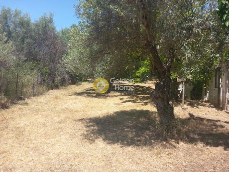 Οικόπεδο 569τ.μ. για πώληση-Κρυονέρι » Ζώνη χονδρεμπορίου