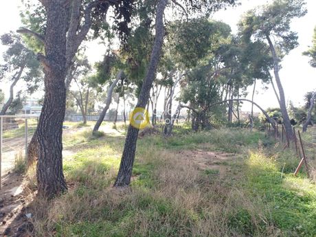 Αγροτεμάχια 4.730τ.μ. για πώληση-Μαρούσι » Σωρός
