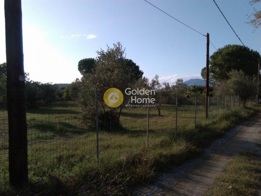 Οικόπεδο 2.500 τ.μ. προς πώληση, Νέος Πύργος Ωρεών