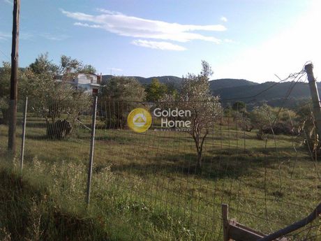 Οικόπεδο 2.500τ.μ. για πώληση-Ωρεοί » Νέος πύργος