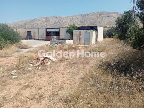 Κτίριο 225τ.μ. για πώληση-Κερατέα » Αρί